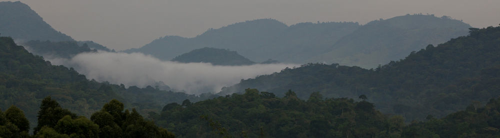 Silverback Lodge Buhoma Buitenkant foto